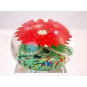  Murano Design Glass Red Gazania Flower Paperweight TP0030 