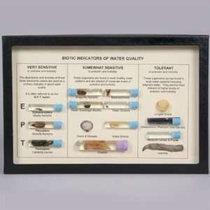 Biotic Indicators of Water Quality Biorama(tm)  Industrial 