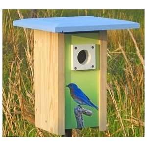  Bluebird Convertible Birdhouse Roland Jordahl Songbird 