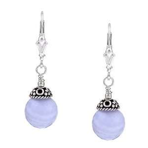    Charming Life Sterling Silver Blue Lace Agate Earrings Jewelry
