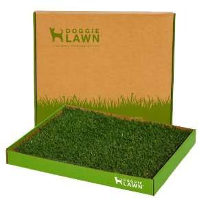  DOGGIELAWN Disposable Dog Potty Box (REAL Grass) Pet 
