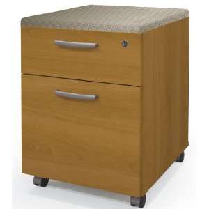  2 Drawer File Cabinet: Office Products