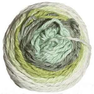  Be Sweet Yarn   Bambino Taffy Yarn   883 Spearmint Gum 