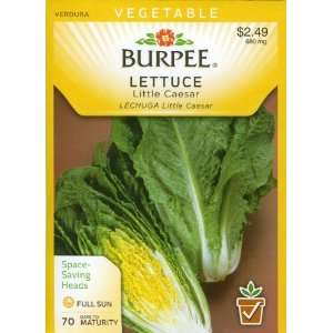  Burpee 66746 Lettuce, Head Little Caesar Seed Packet 