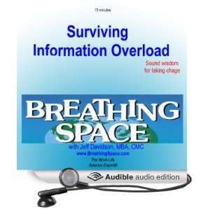  Surviving Information Overload (Audible Audio Edition) Mr 