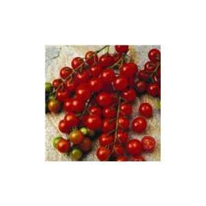 30 Sugar Sweet Cherry Tomato Seeds Patio, Lawn & Garden