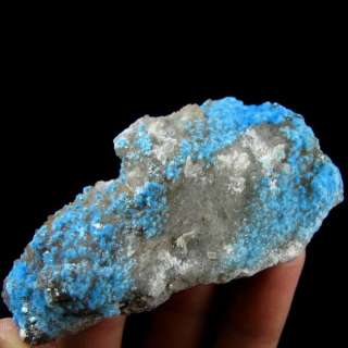 Radiating Sky Blue Cyanotrichite Crystals Cluster C2281  