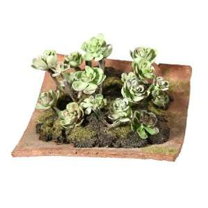    6 Baby Succulent Artificial Roof Garden Plant: Home & Kitchen