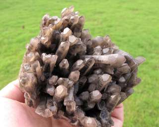 Large True Black STRIATE Quartz Tibet Crystal Cluster  