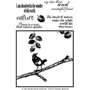  Clear Stamp Y: Nature Speaks: Home & Kitchen