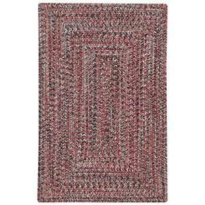  Capel Rugs Agua 8x11 Terra Cotta Area Rug: Home & Kitchen