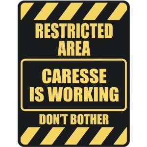   RESTRICTED AREA CARESSE IS WORKING  PARKING SIGN: Home 