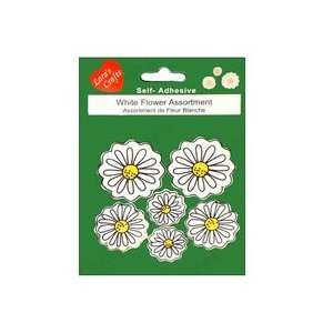  Laras Painted Package Wood Stickers White Flowers (Pack 