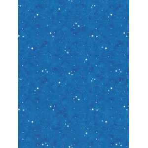  Wallpaper Steves Color Collection Boys BC1580463: Home 