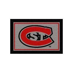  St. Cloud State Huskies 4 x 6 Team Door Mat: Sports 