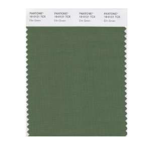  PANTONE SMART 18 0121X Color Swatch Card, Elm Green: Home 