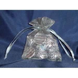  Organza Wedding Favor Bags/Pouches   3x4   Silver (10 