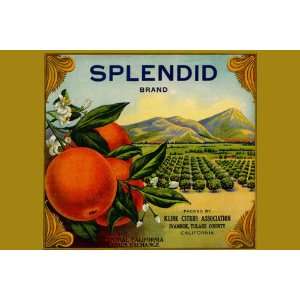  Splendid Brand Citrus 24X36 Canvas Giclee