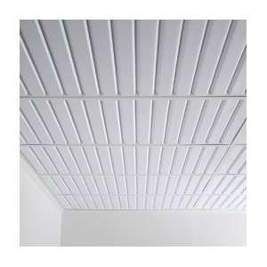  Southland 2 x 2 Ceiling Tile, Drop, White: Home 