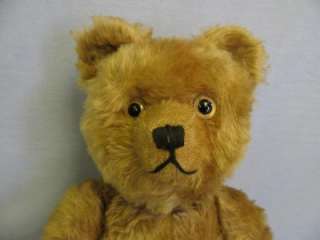   Antique German 1930s SCHUCO Mohair YES NO TEDDY BEAR working MUSIC BOX