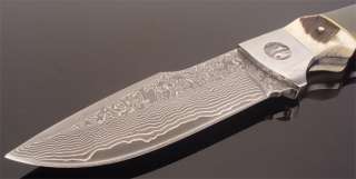 Handmade Damascus Horn Handle Hunting Knife DKH25  