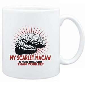  Mug White  My Scarlet Macaw is more intelligent than your pet 
