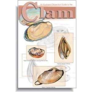  Ranaco An Illustrated Dissection Guide To The Clam; David 