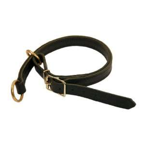  Dean & Tyler Strictly Business 2 IN 1 Leather Dog Choke 