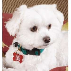   : Personalized Plastic Nametags 1 1/4 Heart Color: Red: Pet Supplies