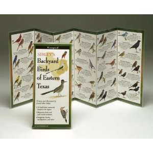  Folding Guide Sibleys Backyard Birds Eastern Texas Arts 