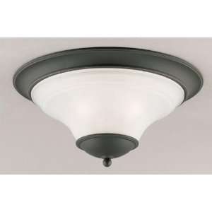   Contractor s Choice Flushmount Ceiling Fixture from the Contract Home