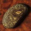 Piedras preciosas Australia de ópalo Fossil por la colección de 