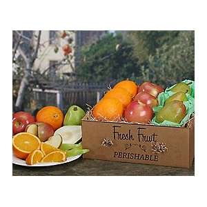 Farm Fresh Fruit Collection  Grocery & Gourmet Food