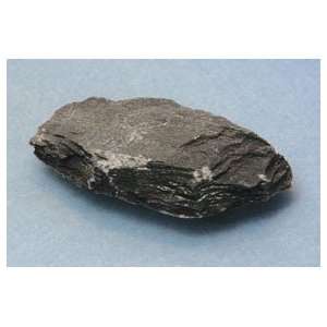 SciEd Individual Rock Specimens Metamorphic Rocks; Slate, black to 