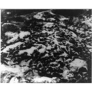  Dead Bodies,Communists,Teajon,Daejon,1950s,massacred 