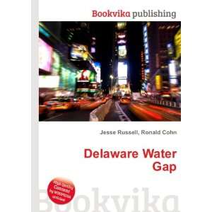  Delaware Water Gap Ronald Cohn Jesse Russell Books