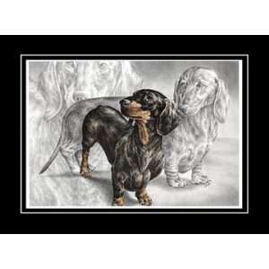 Dachshund Dog Art   Limited Edition Print 