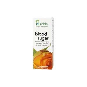  Blood Sugar Remedy   Balance Blood Sugar, 1 oz Health 