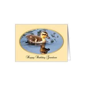   : grandson birthday, A baby duck Murrells Inlet SC Card: Toys & Games
