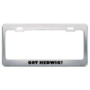  Got Hedwig? Girl Name Metal License Plate Frame Holder 