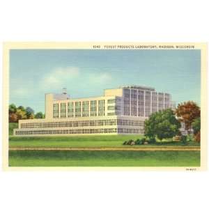 1940s Vintage Postcard Forest Products Laboratory   Madison Wisconsin