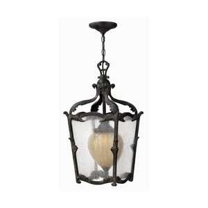   Sorrento Collection 24 High Outdoor Hanging Light