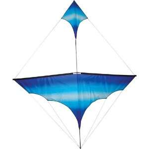  CANARD KITE   COOL Toys & Games