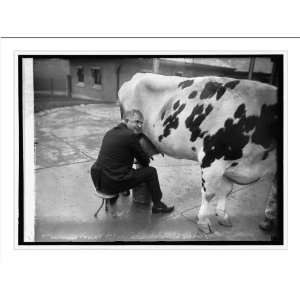  Historic Print (L) Wallace milking