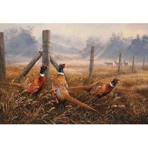  Rosemary Millette   Meadow Mist   Pheasants