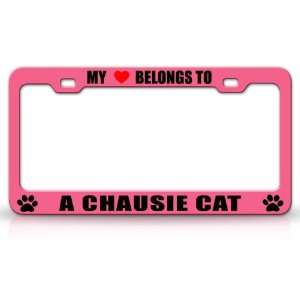  MY HEART BELONGS TO A CHAUSIE Cat Pet Auto License Plate 