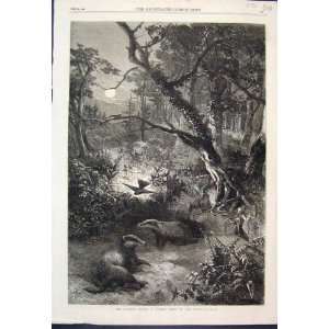  Badgers Haunt Summer Night In Woods Fine Art 1868