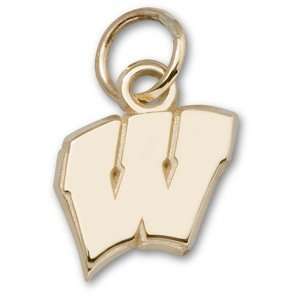  Wisconsin Badgers 3/8in 14k Motion Charm/14kt yellow gold 