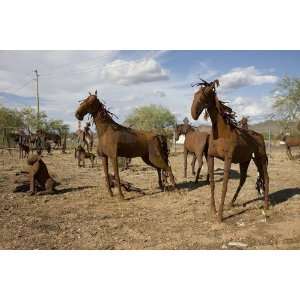 Americana Poster   Iron horses and cactus near Sedona Arizona 24 X 17