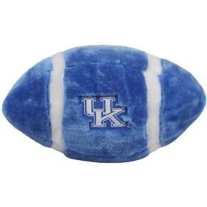  NCAA Kentucky Wildcats Light Blue Plush Football: Sports 